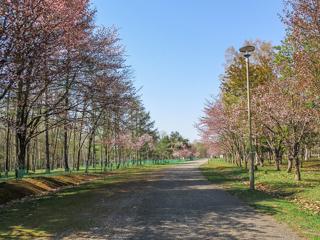 syunkoudai_2024_05_02_001.jpg