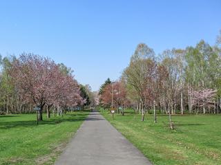 syunkoudai_2024_05_02_002.jpg