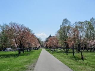 syunkoudai_2024_05_04_001.jpg