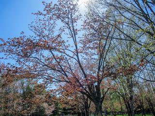 syunkoudai_2024_05_04_002.jpg