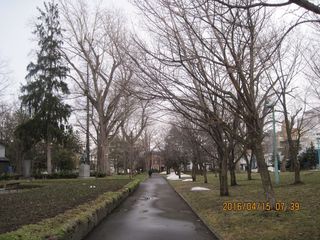 tokiwa_2016_0415_001.JPG