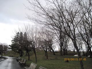 tokiwa_2016_0415_002.JPG