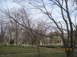 tokiwa_2016_0419_002.jpg