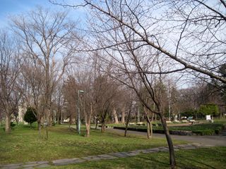 tokiwa_2016_0422_001.jpg