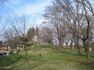 tokiwa_2016_0422_002.jpg