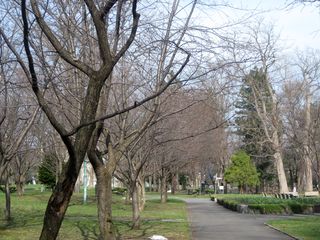 tokiwa_2016_0422_003.JPG