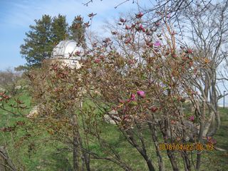 tokiwa_2016_0422_005.jpg