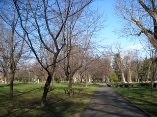 tokiwa_2016_0425_001.jpg