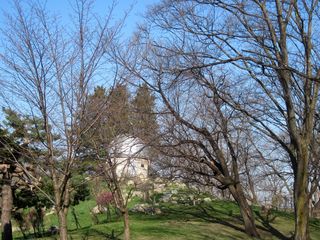 tokiwa_2016_0425_003.jpg