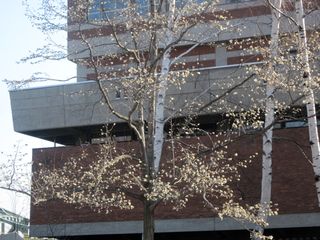 tokiwa_2016_0425_005.jpg