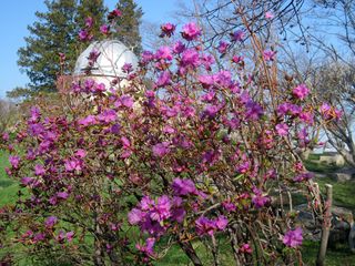 tokiwa_2016_0425_006.jpg