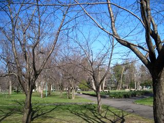 tokiwa_2016_0427_001.jpg