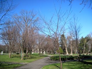 tokiwa_2016_0427_002.jpg