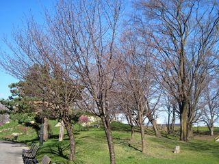 tokiwa_2016_0427_003.jpg