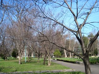tokiwa_2016_0428_001.jpg