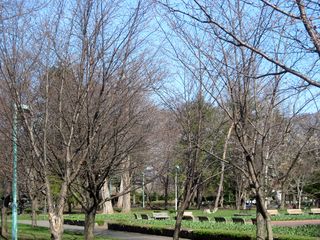 tokiwa_2016_0428_002.jpg