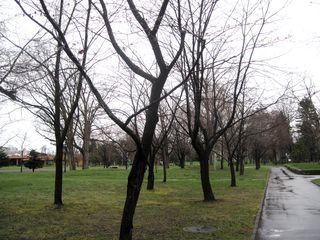 tokiwa_2016_0429_001.jpg