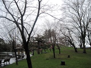 tokiwa_2016_0429_003.jpg