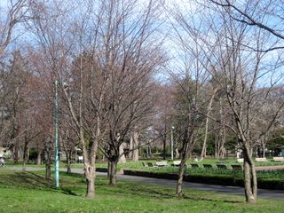 tokiwa_2016_0502_002.jpg