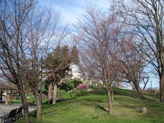 tokiwa_2016_0502_003.jpg