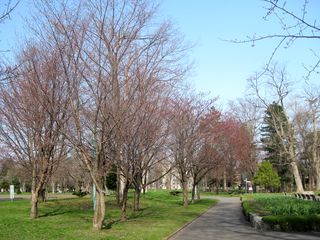 tokiwa_2016_0503_001.jpg