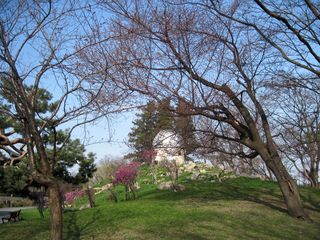 tokiwa_2016_0503_003.jpg