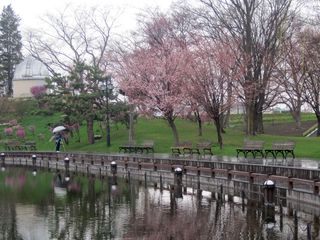 tokiwa_2016_0504_002.jpg