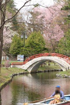 tokiwa_2017_05_05_w240px_0412up.JPG