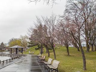 tokiwa_2023_04_26_003.jpg