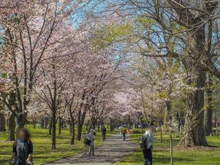 tokiwa_2023_05_02_002.jpg