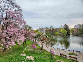 tokiwa_2024_04_28_001.jpg
