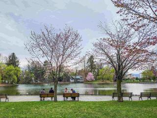 tokiwa_2024_04_28_004.jpg
