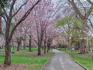 tokiwa_2024_04_30_002.jpg