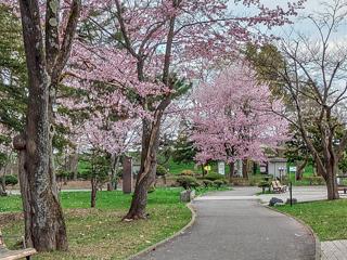 tokiwa_2024_04_30_004.jpg