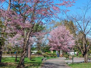 tokiwa_2024_05_01_002.jpg