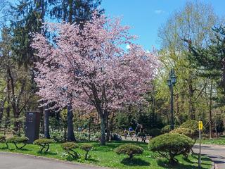 tokiwa_2024_05_01_004.jpg