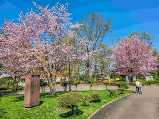 tokiwa_2024_05_02_001.jpg