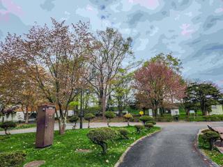 tokiwa_2024_05_04_001.jpg