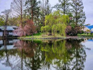 tokiwa_2024_05_04_003.jpg