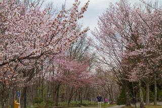 kaguraoka_2021_05_05_001.jpg