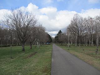sakura2026_04_24syunkoudai002.jpg