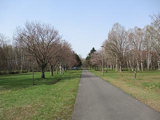 sakura2026_04_27syunkoudai001.jpg