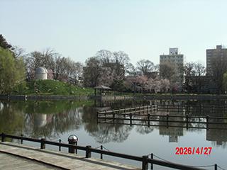 sakura2026_04_27tokiwa004.jpg