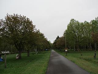 sakura2026_05_08syunkoudai004.jpg