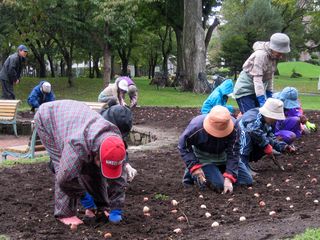 tokiwa_gb_2015_0930_003.jpg