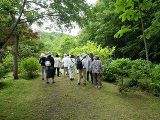 tokiwa_gb_2016_0727_001_007.jpg