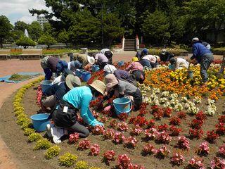 tokiwa_gb_2020_07_17_007.jpg