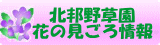�u�k�M�쑐���v�Ԃ݂̂�����