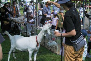 enjoy_syunkoudai_park_2022_08_21_016.jpg