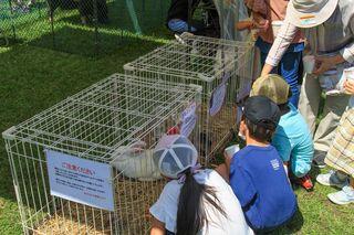 enjoy_syunkoudai_park_2022_08_21_017.jpg